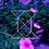 AHaliq