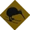 skiwi
