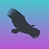 Vulture